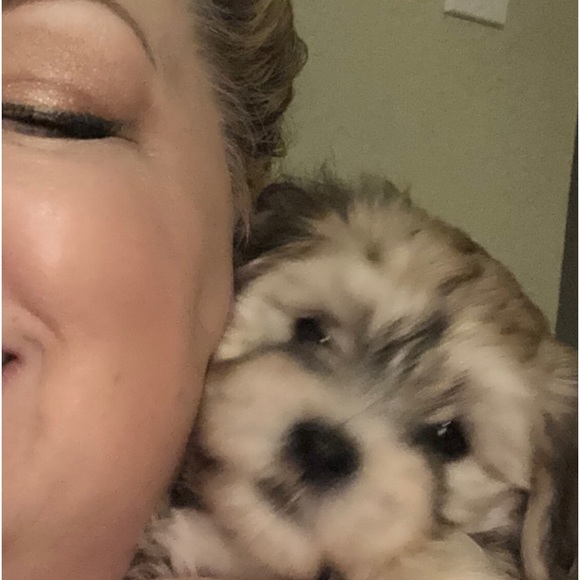 “MEET THE POSHER” so nice to meet you🌷 - Picture 3 of 17